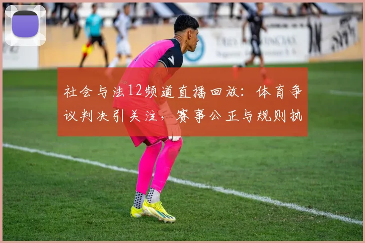 社会与法12频道直播回放：体育争议判决引关注，赛事公正与规则执行成焦点
