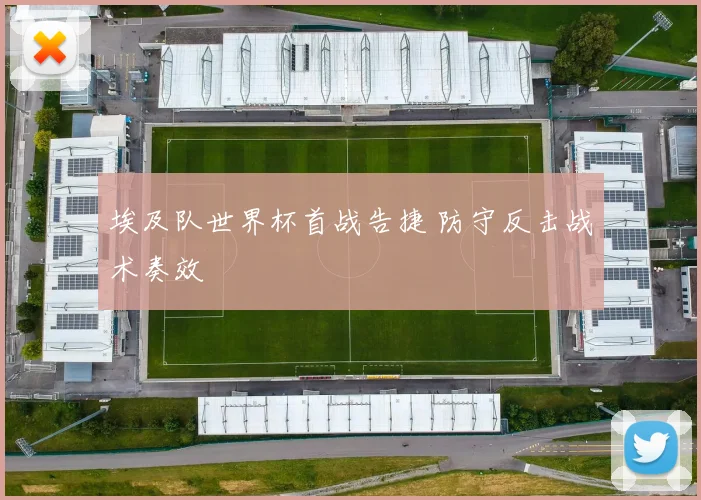 埃及队世界杯首战告捷 防守反击战术奏效