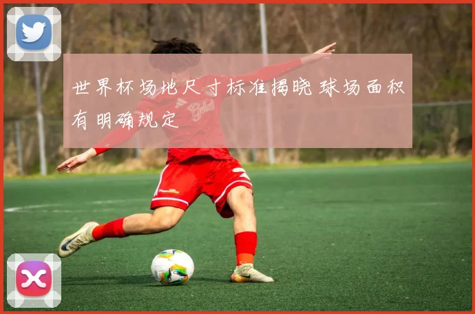 世界杯场地尺寸标准揭晓 球场面积有明确规定