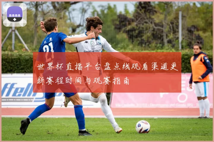 世界杯直播平台盘点线观看渠道更新赛程时间与观赛指南