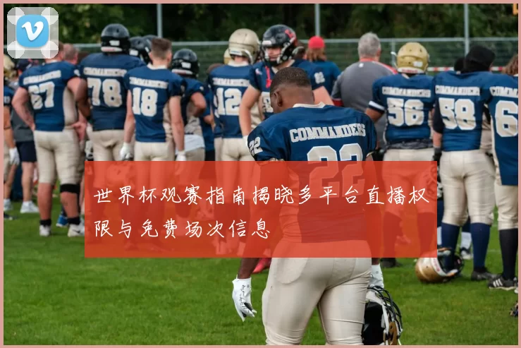 世界杯观赛指南揭晓多平台直播权限与免费场次信息