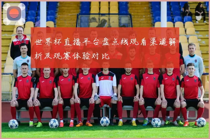 世界杯直播平台盘点线观看渠道解析及观赛体验对比
