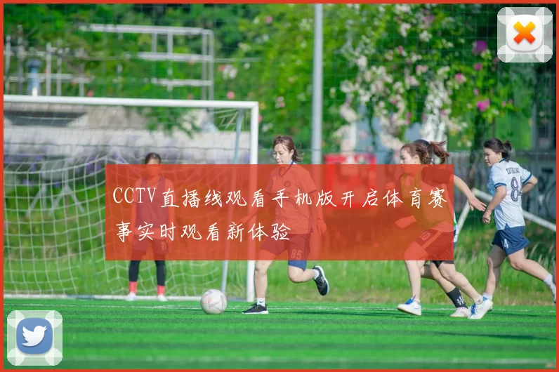 CCTV直播线观看手机版开启体育赛事实时观看新体验