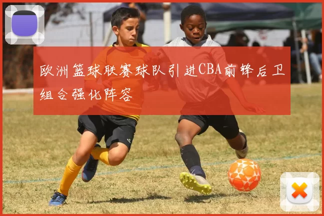 欧洲篮球联赛球队引进CBA前锋后卫组合强化阵容