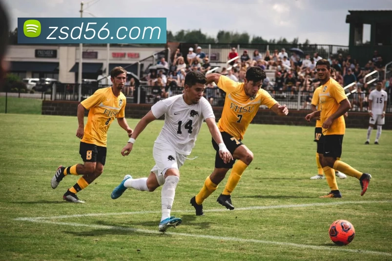 星空网官方登录入口平台生态图