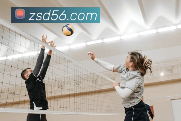 星空网官方登录入口全站App